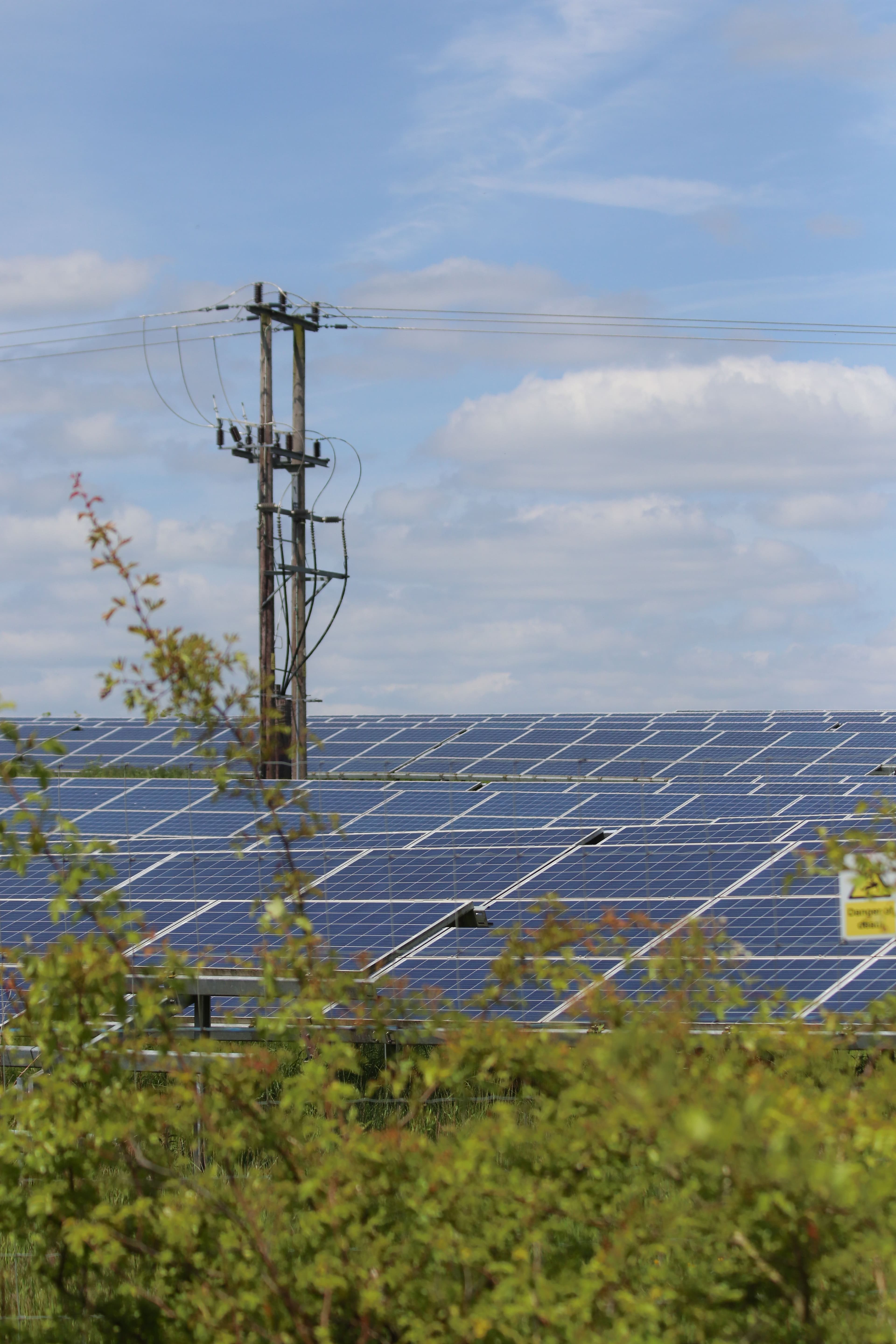 Solar panels set among open, green surroundings